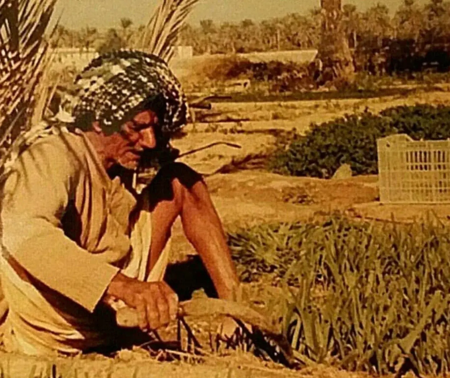 الزراعة قديمًا في قرية ابوصيبع